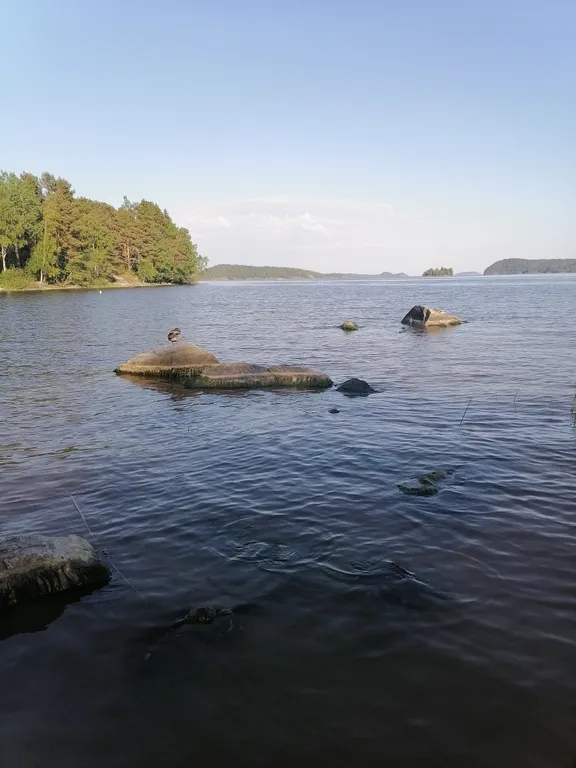 Домик Тарулинна