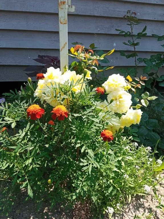 Уютный отдельный домик для семейного отдыха