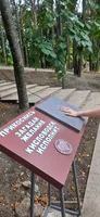 Пользователь
