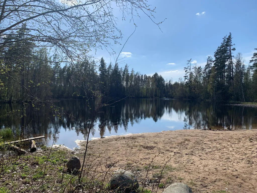 Коттедж Уютный современный дом в сосновом лесу у озера — Запорожское