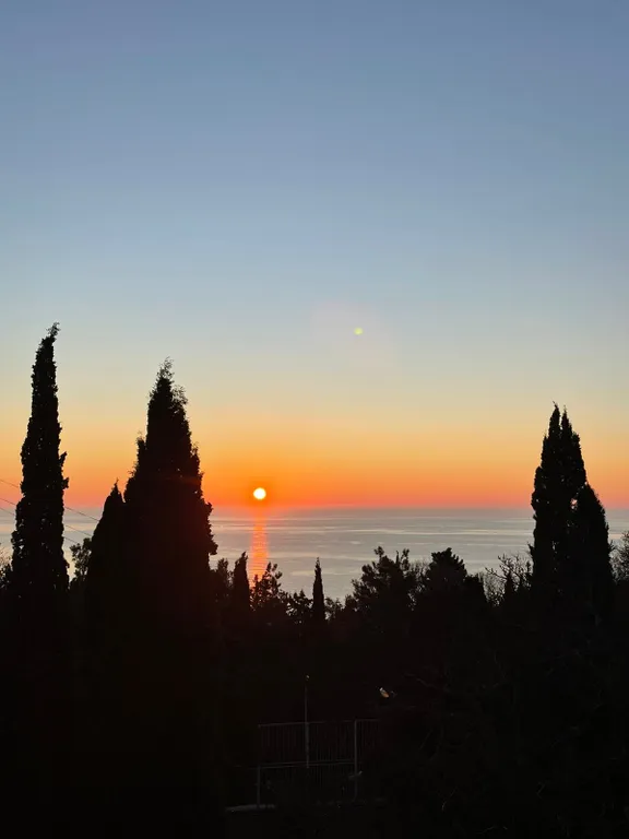 Можжевеловая роща