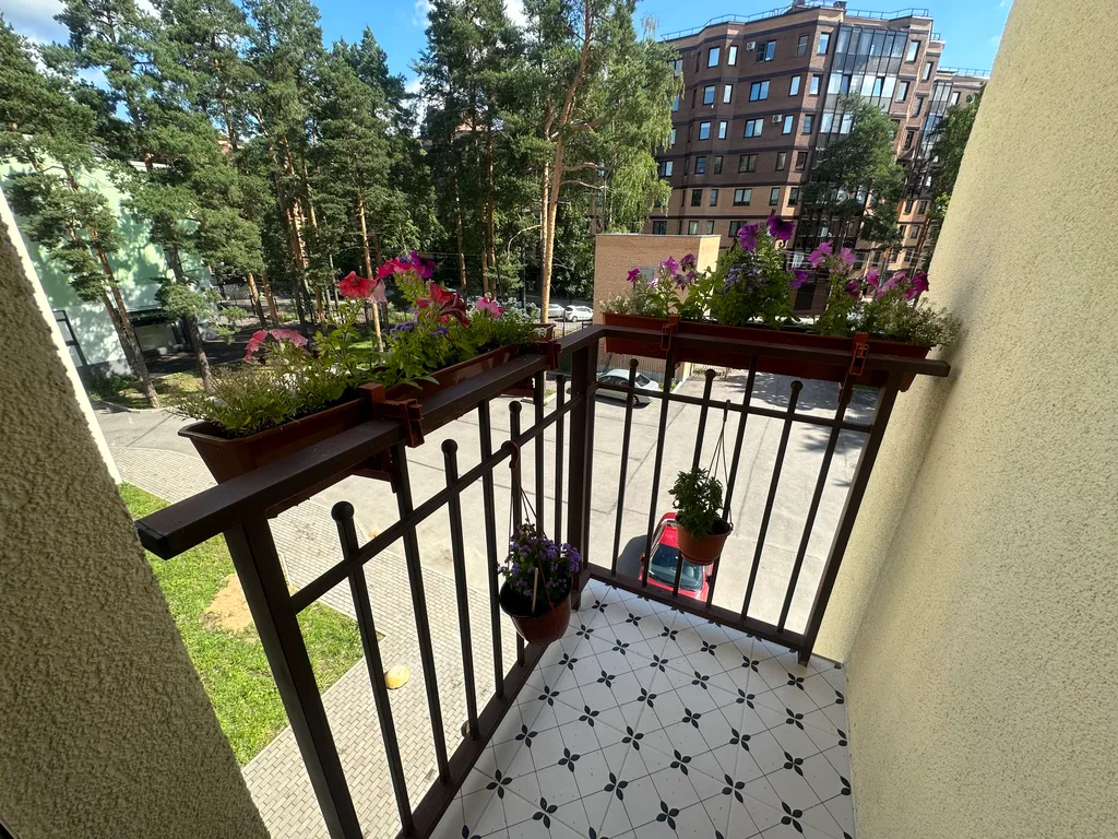 Апартаменты в окружении сосен