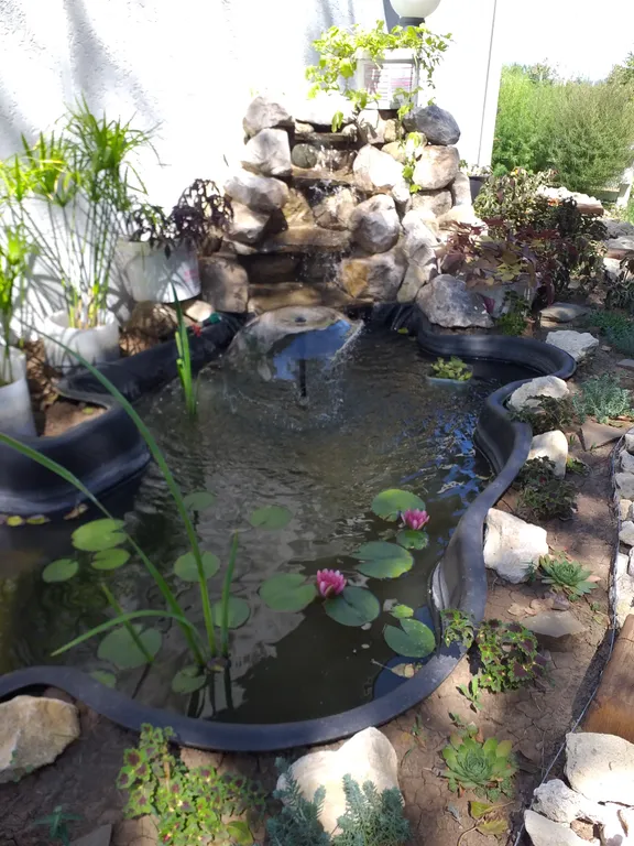 Квартира Комната с видом на сад — Кучугуры