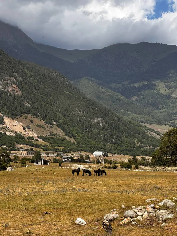 Барнхаус с шикарным видом на горы