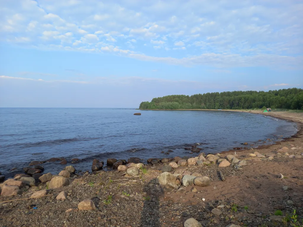 Коттедж Дом в сосновом бору Ладожского озера — Видлица