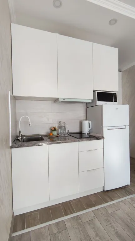 Квартира Уютная квартира-студия у моря для идеального отдыха круглый год — Батуми