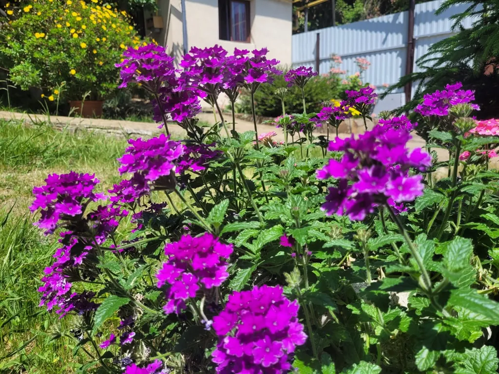 Коттедж 2-комнатный Дом — Сочи