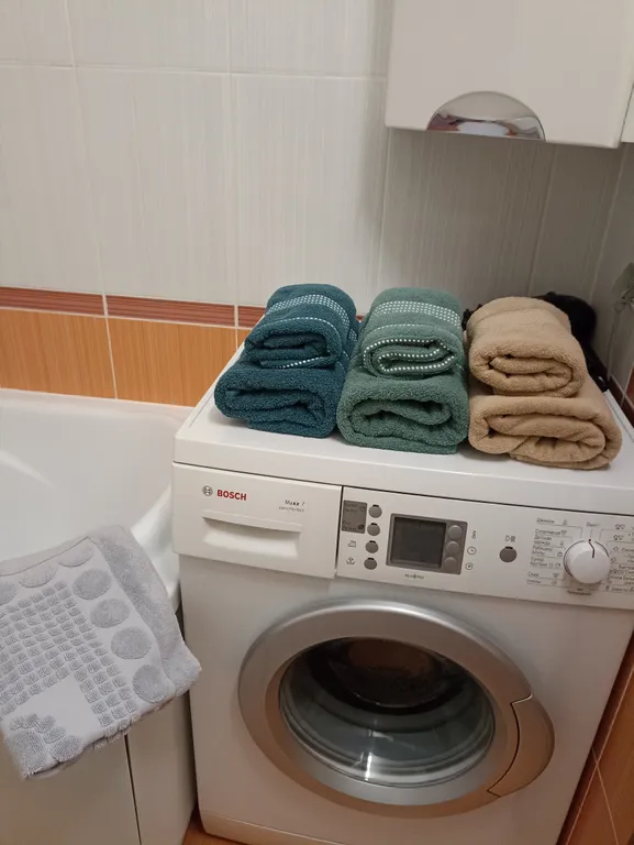 Аккуратная однокомнатная квартира возле живописного Лошицкого парка