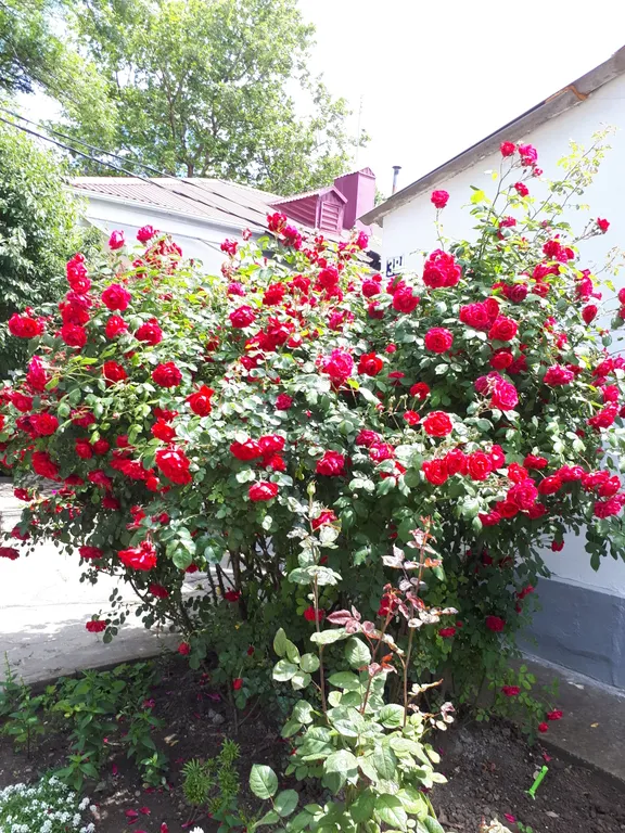 Квартира Квартира Новая большая люкс двушка с видом на море — Анапа