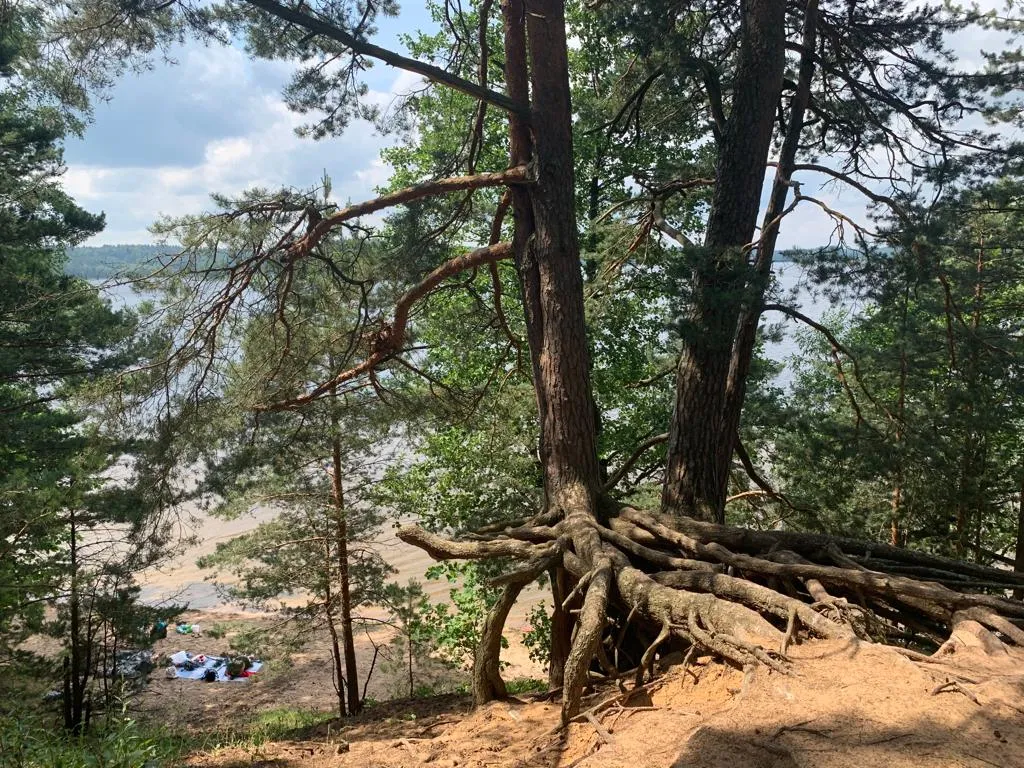 Частный дом Сосны и Берег