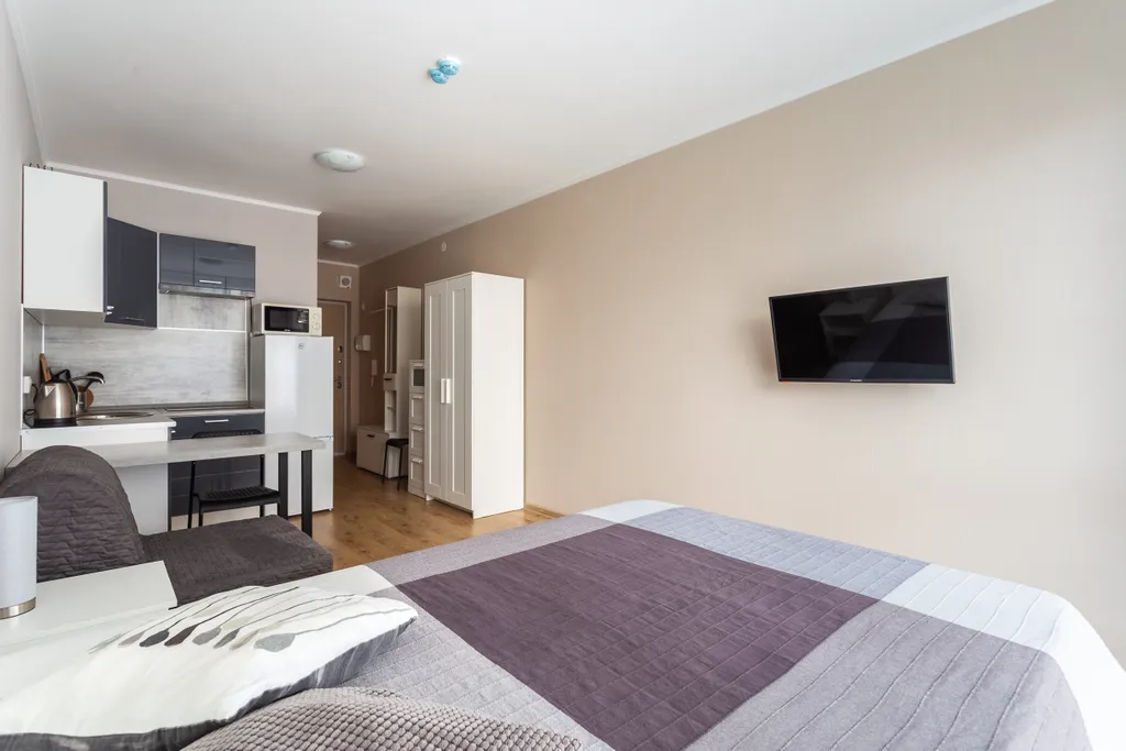 Студия у метро Парнас