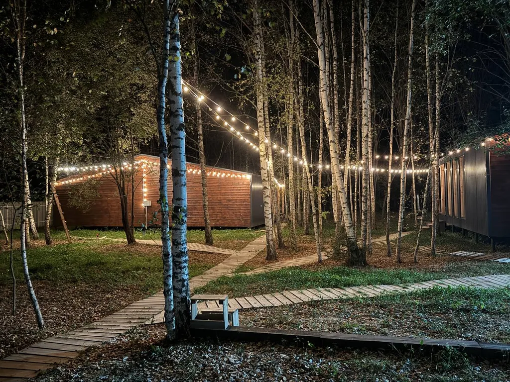 Дом O'Pushka space в березовом лесу
