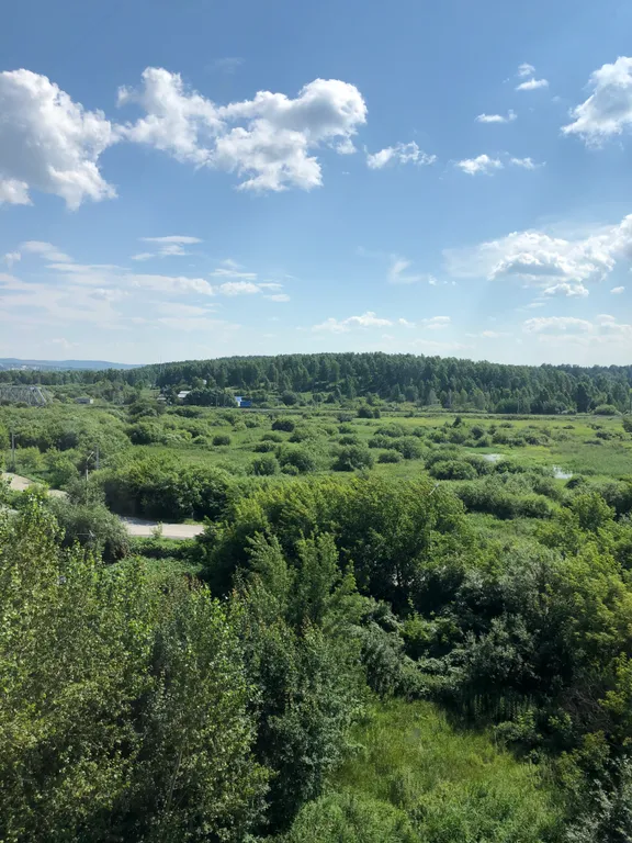 Уютная квартира в центре города с видом на реку и лес