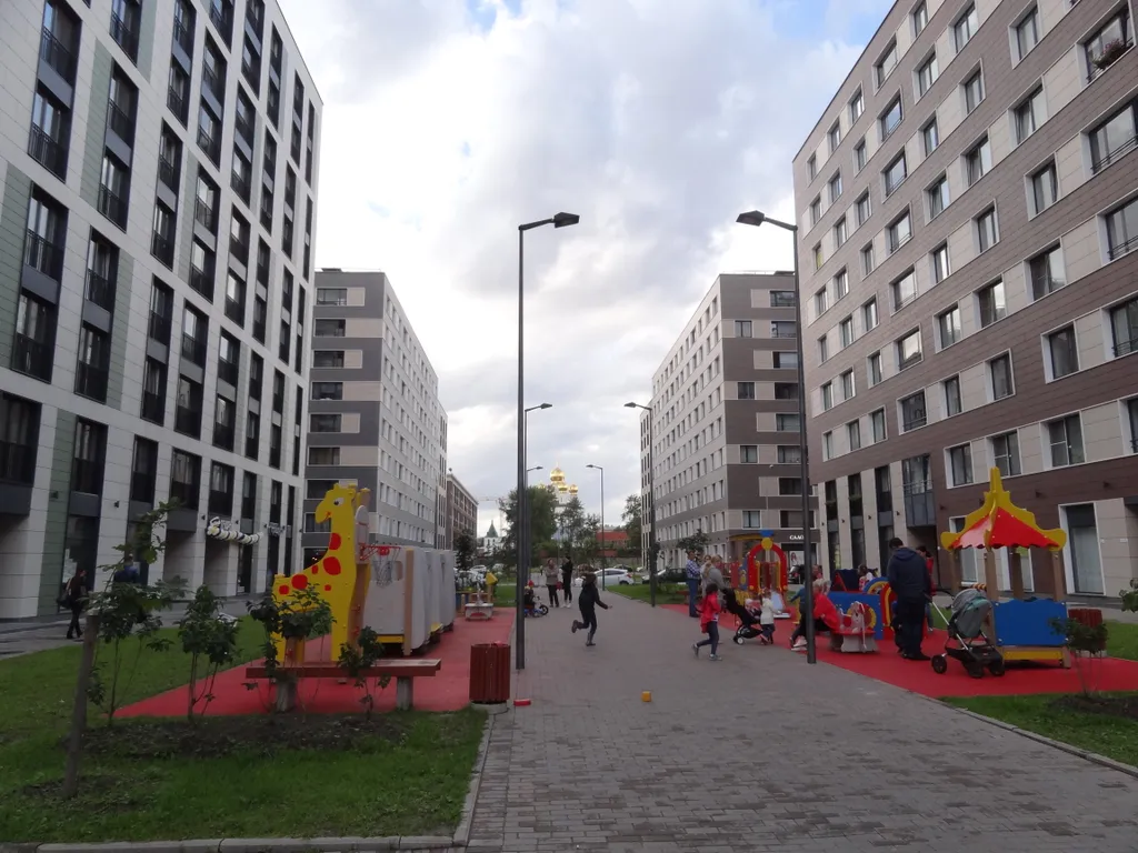 Black dog apartments