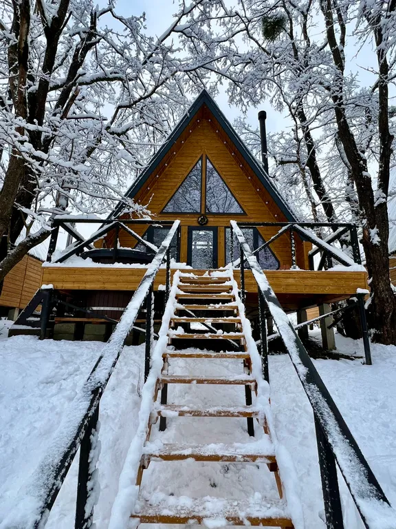 Дом с видом на лес рядом с горной рекой