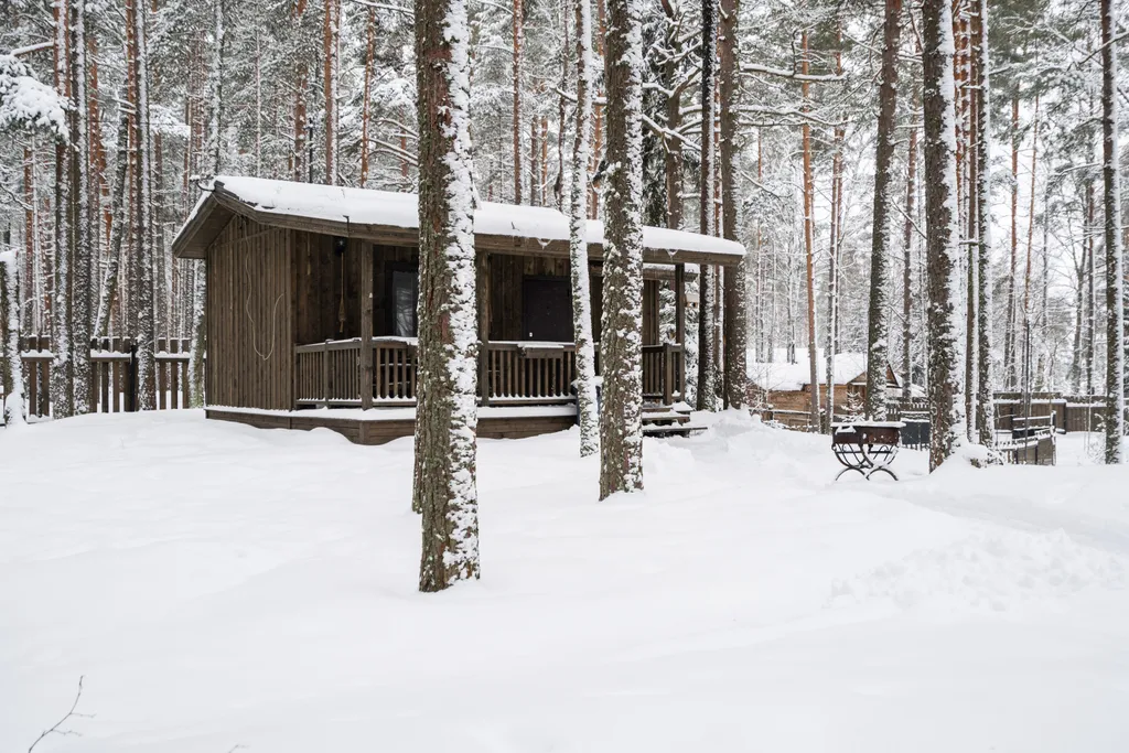 Коттедж Коттедж №10 в сосновом лесу — Лебяжье