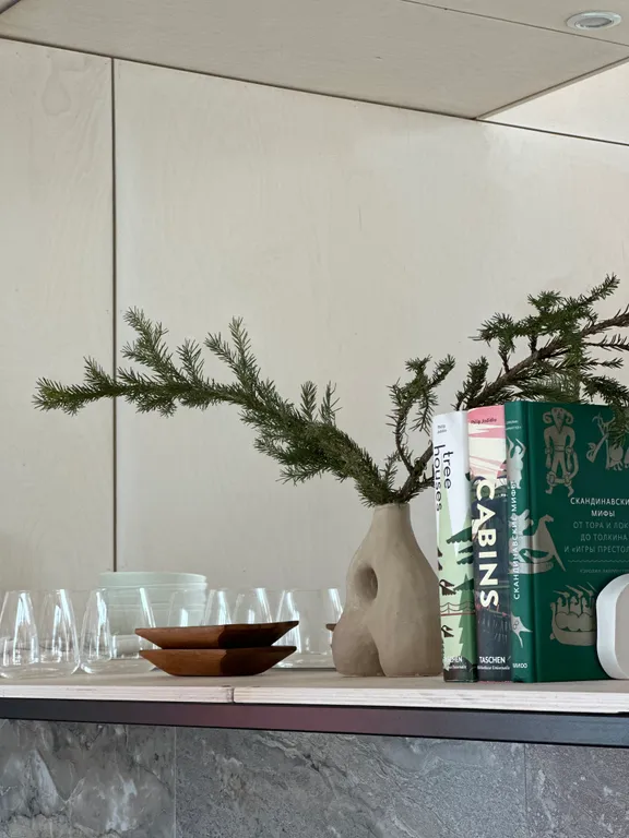 Сканди-дача №2