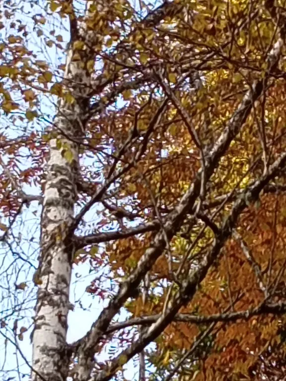 Гостевой дом премиум класса