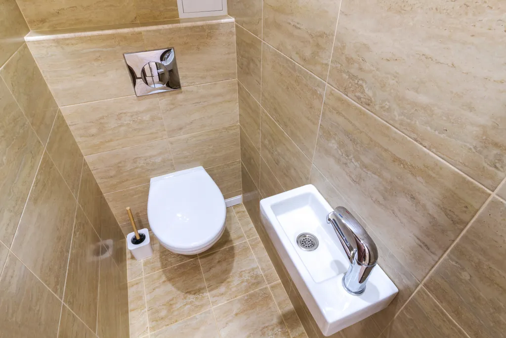 Большая люкс квартира в историческом центре, Яблонька Ибис