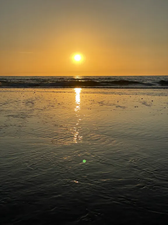 Стильные апартаменты