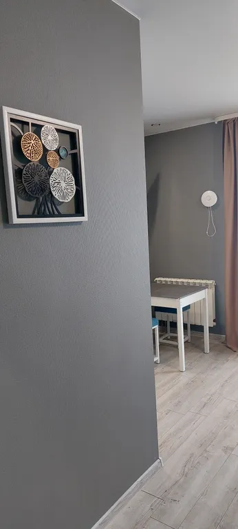 Уютная студия для всех случаев жизни