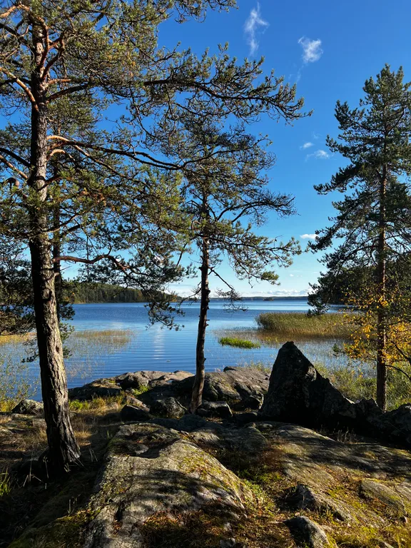 Стильный дом на берегу Ладожского озера с панорамным видом