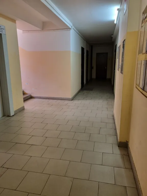 Студия недалеко от Стрелки