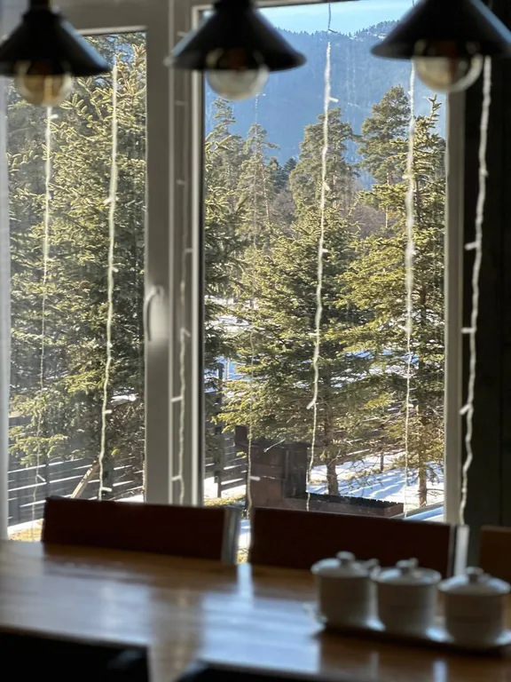 Шале с прекрасным видом на горы и лес