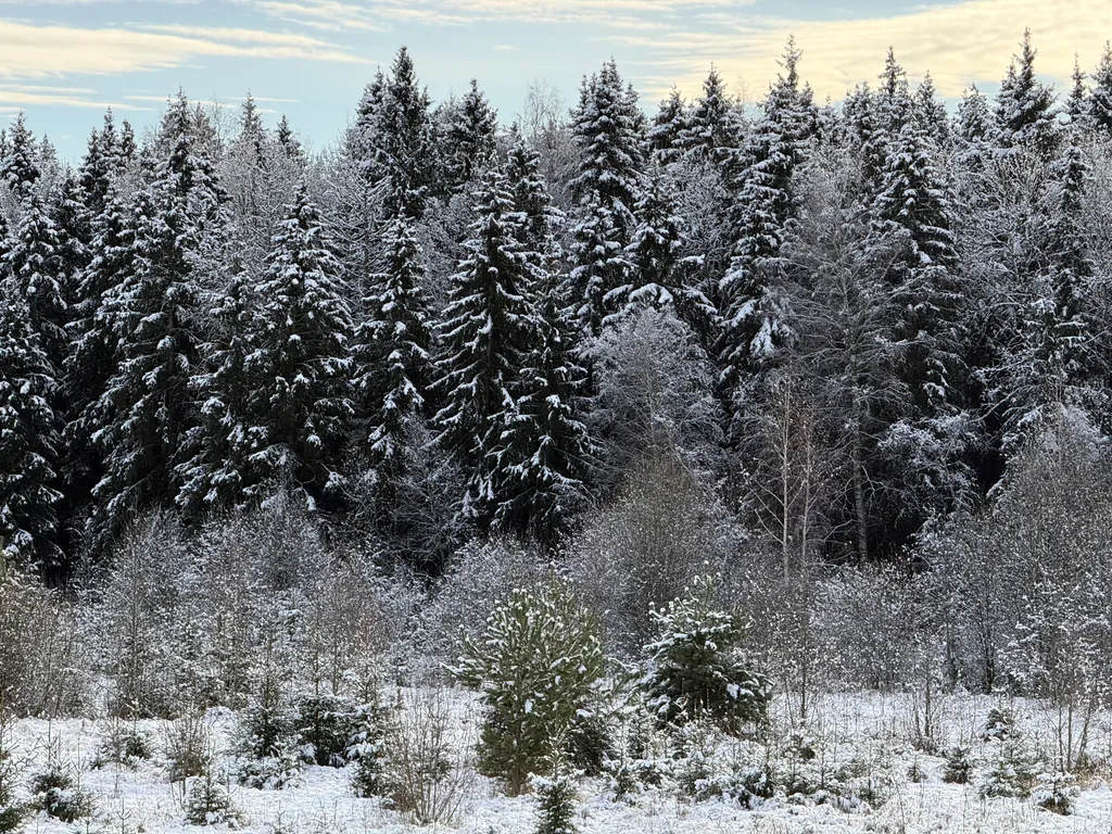 Дом для семейного отпуска