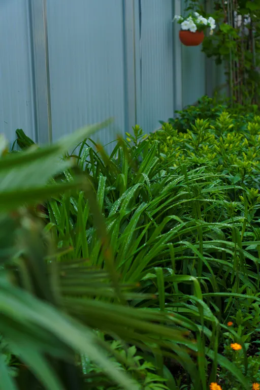 Квартира Квартира рядом со знаменитым Курортным городком — Адлер