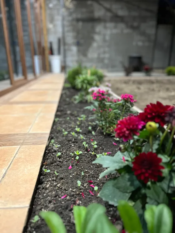 Дача на берегу Каспийского моря