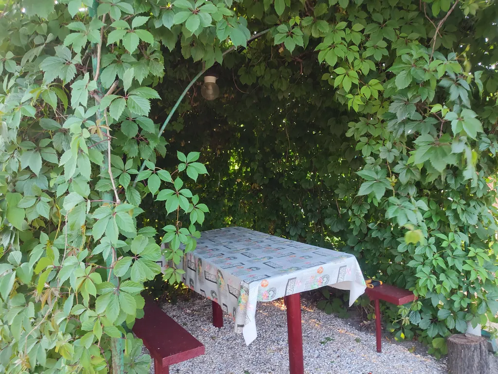 Частный дом в красивом, тихом и экологически чистом месте