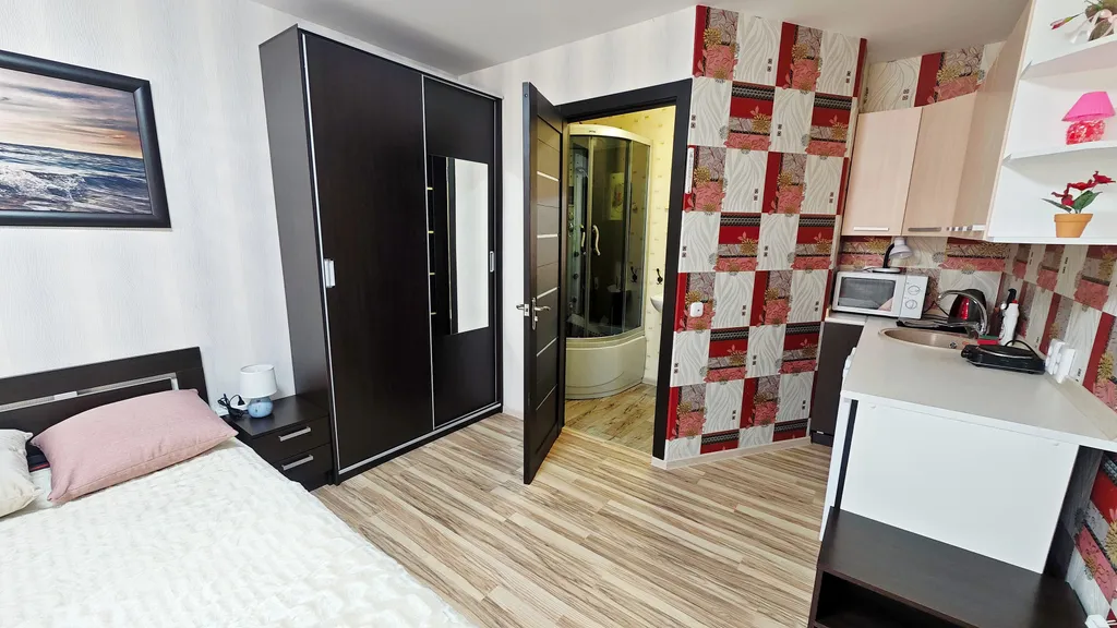 Вишнёвая студия стандарт с кухней и ванной комнатой