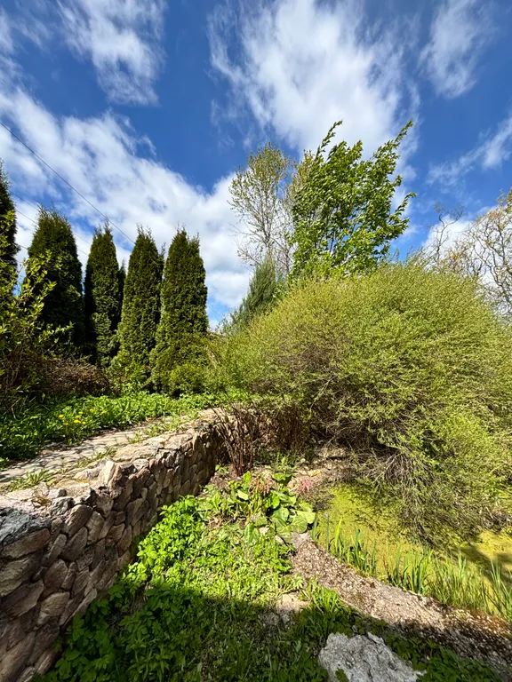 Современный дом в тихом месте