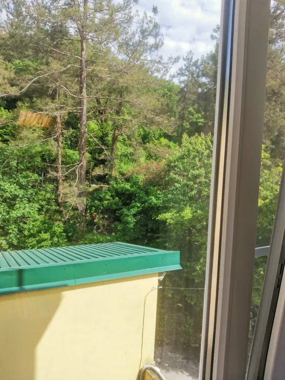 Квартира Двухкомнатные апартаменты с кухонной зоной — Лазаревское