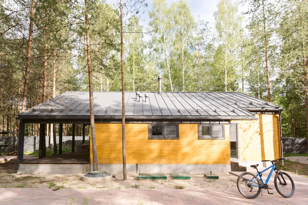 Дом меркуриал