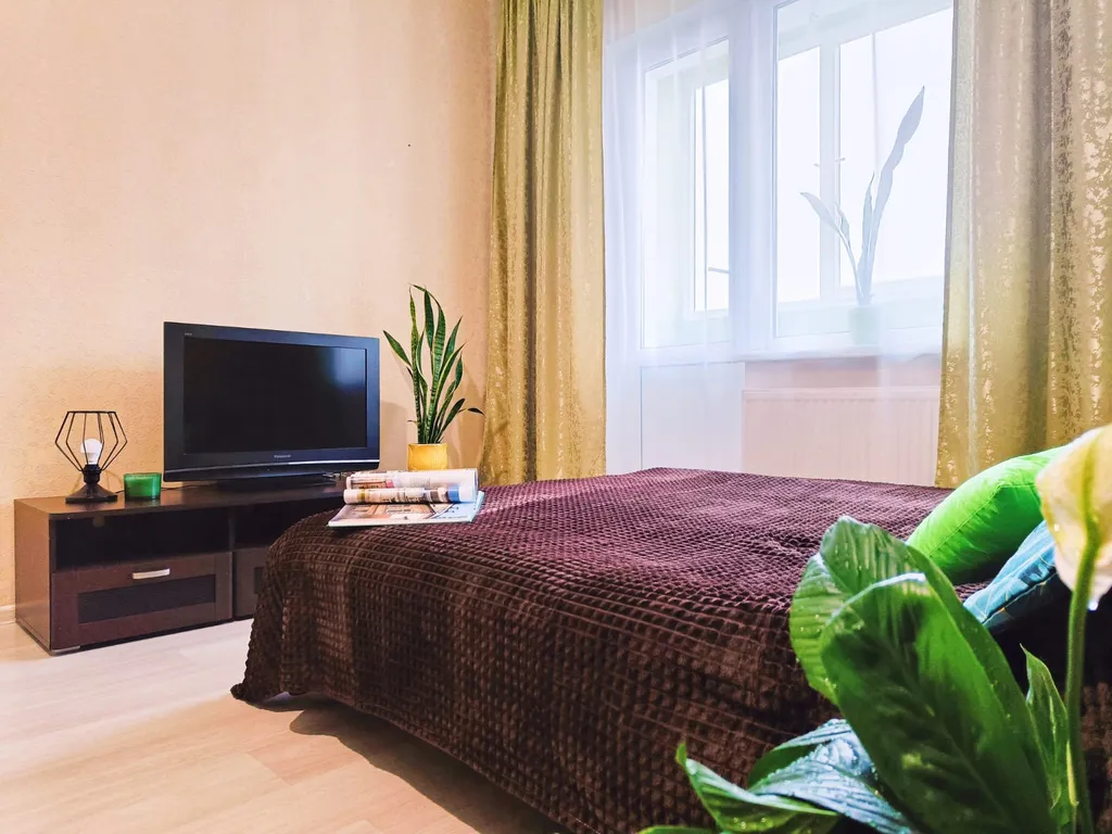 Уютная студия рядом с сосновой рощей