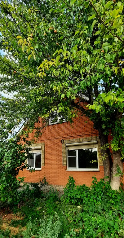 Коттедж Дом возле моря — аренда посуточно в Таганрог