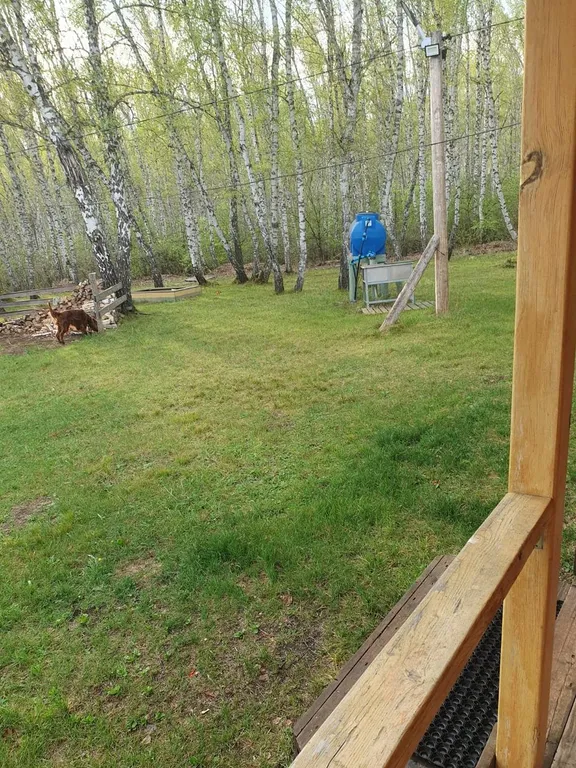 Уютный дом № 1 на базе отдыха