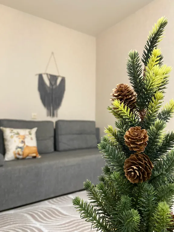 Просторная однокомнатная квартира у леса