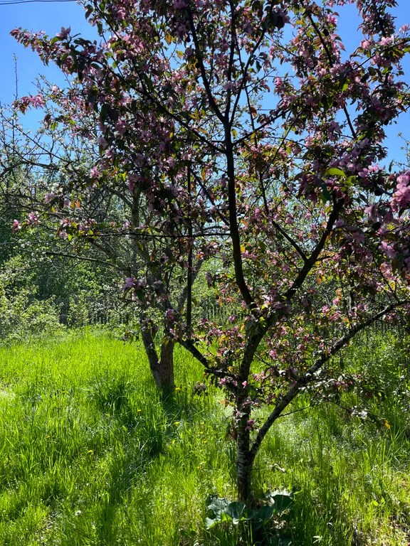 Барнхаус в деревне
