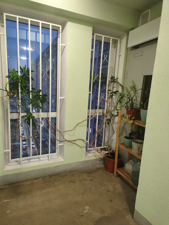 Уютная квартира в новом районе села Домодедово