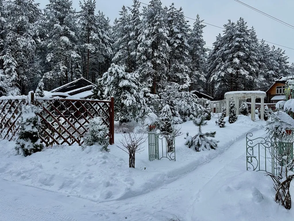 Шале в сосновом бору