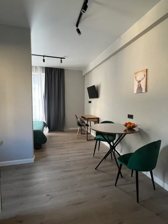 Студия в центре Красной Поляны с видом на горы