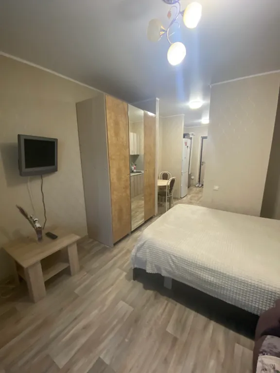 Уютная квартира-студия