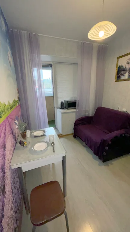 Однокомнатная в Петра Дубраве