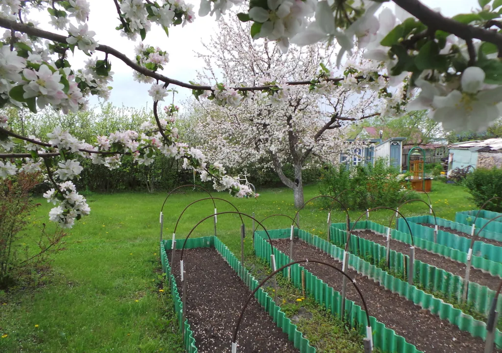 Коттедж Деревенский дом с садом и огородом — Воронеж
