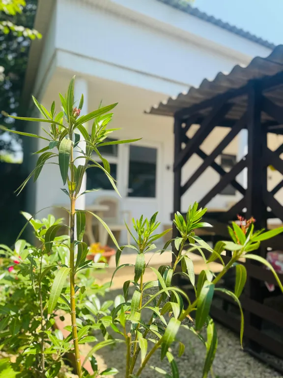 З-местный эконом