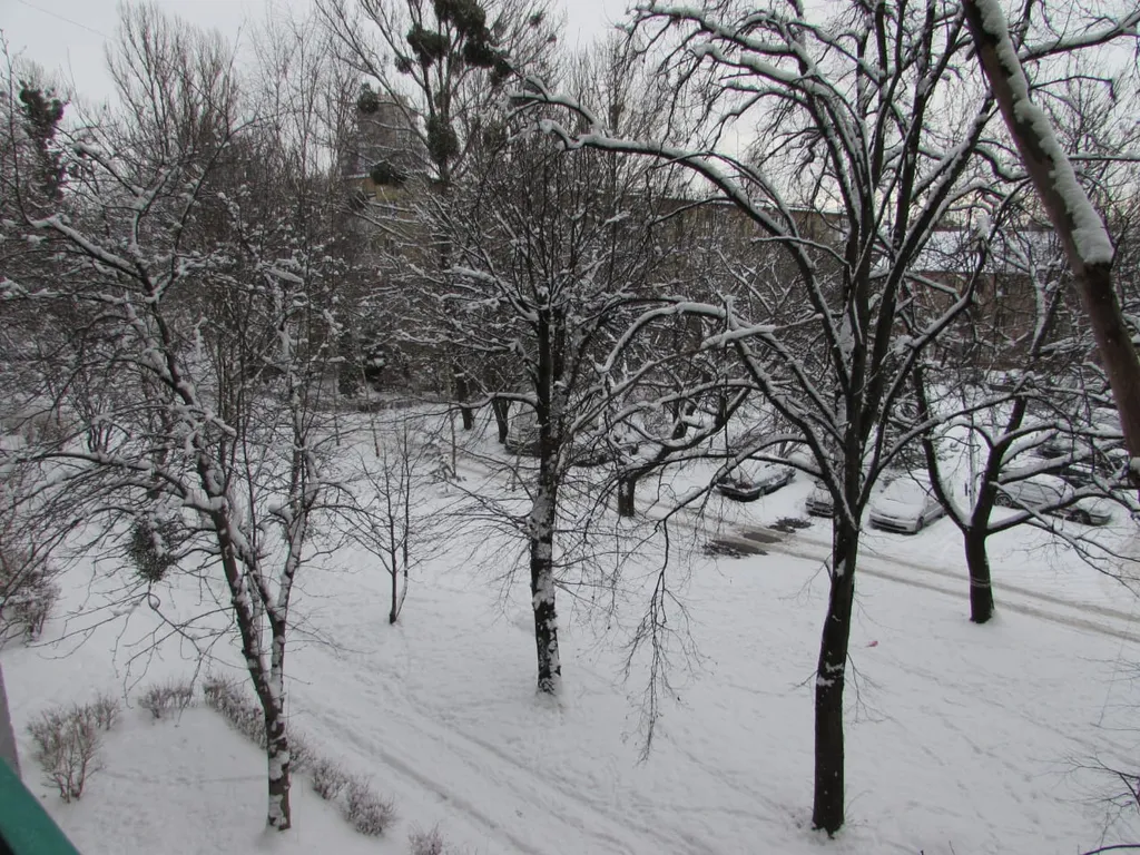 Квартира Квартира Уютная квартирка — Калининград