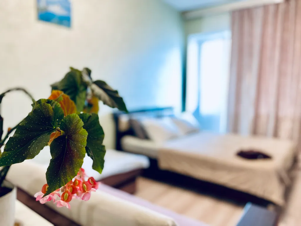 Семейная уютная квартира для отдыха